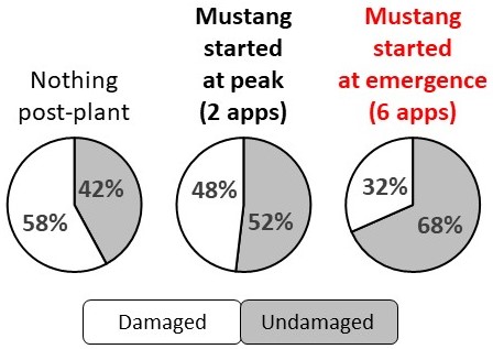 Figure 4 pie chart